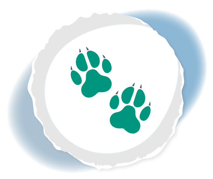 Grafik zweier Pfotenabdrücke. 