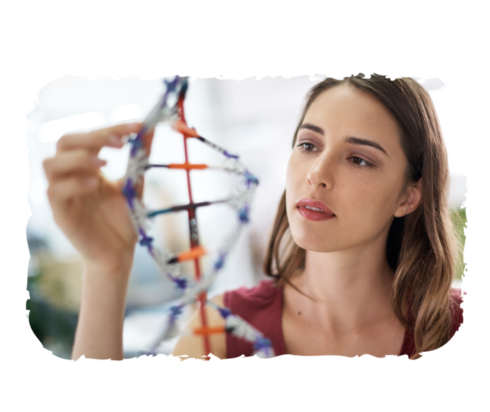 Eine Frau schaut sich das Modell eines DNA-Strangs an.