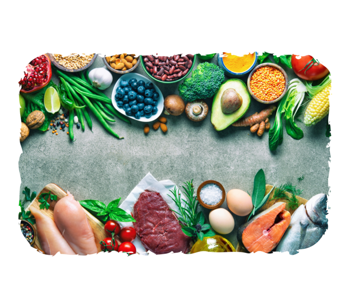 GvHD: Ernährung nach Stammzelltransplantation Eine Vielzahl von Lebensmitteln: Fleisch, Fisch, diverses Obst und Gemüse.
