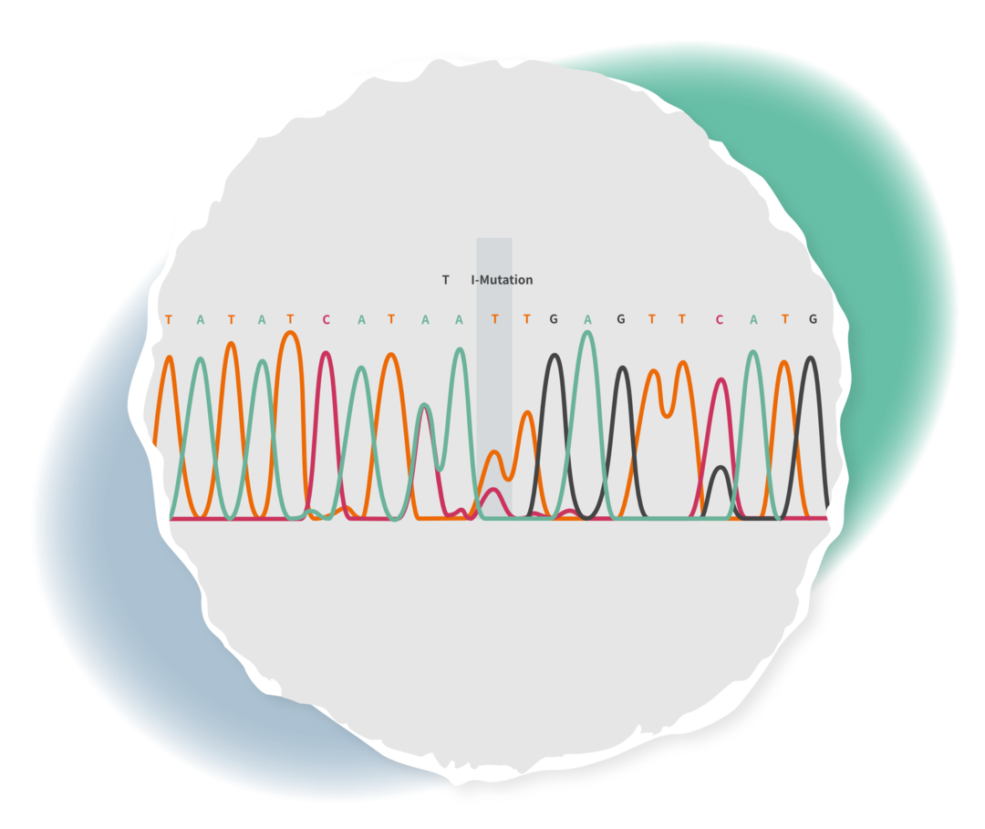 Schematische Darstellung der Ergebnisse einer Mutationsanalyse bei CML. Hervorgehoben ist die T315I-Mutation.