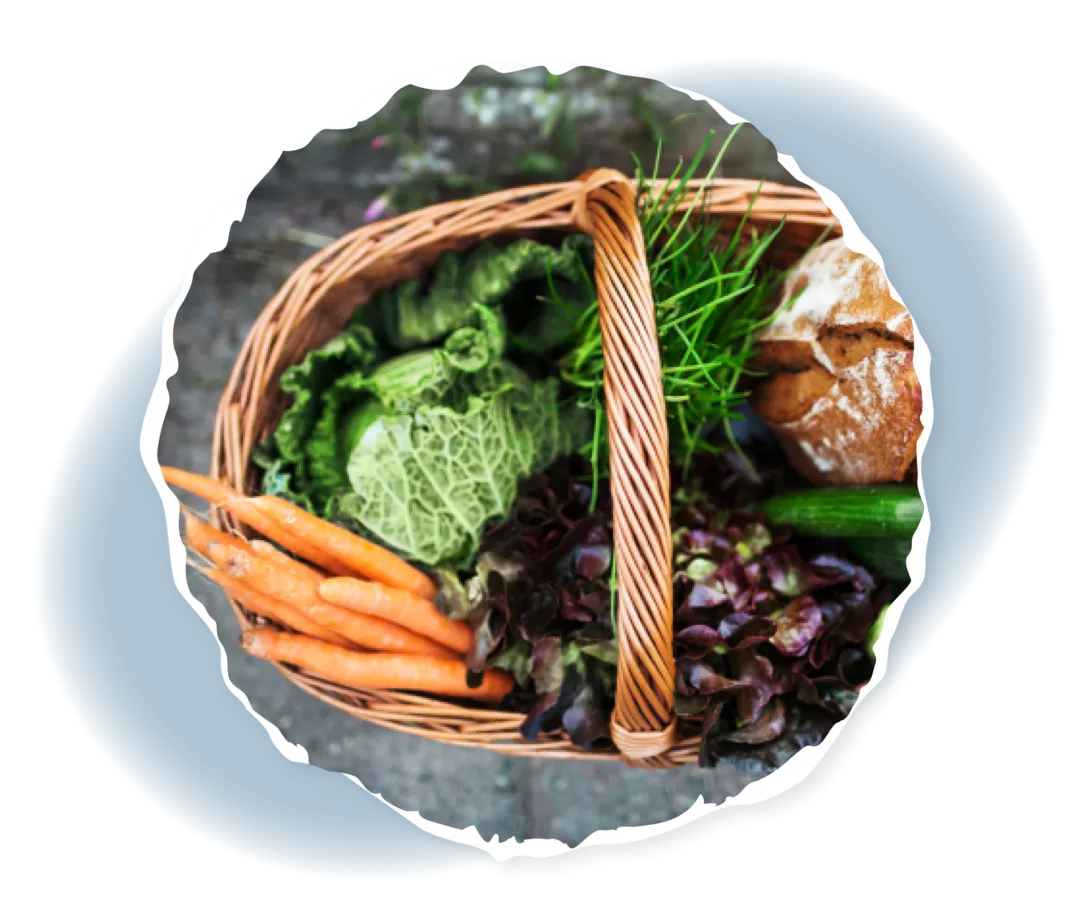 Ein Korb gefüllt mit Gemüse und Brot.