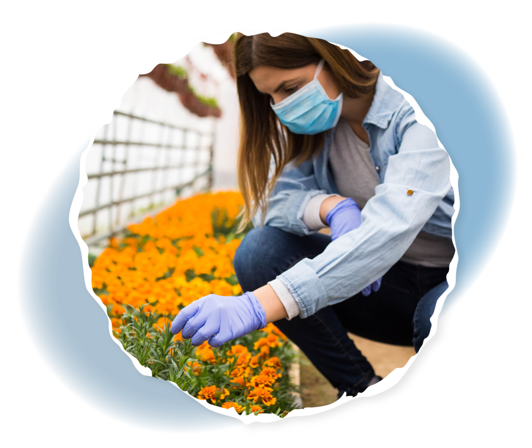 Eine Person kümmert sich mit Maske und Schutzhandschuhen um ein Blumenbeet. 