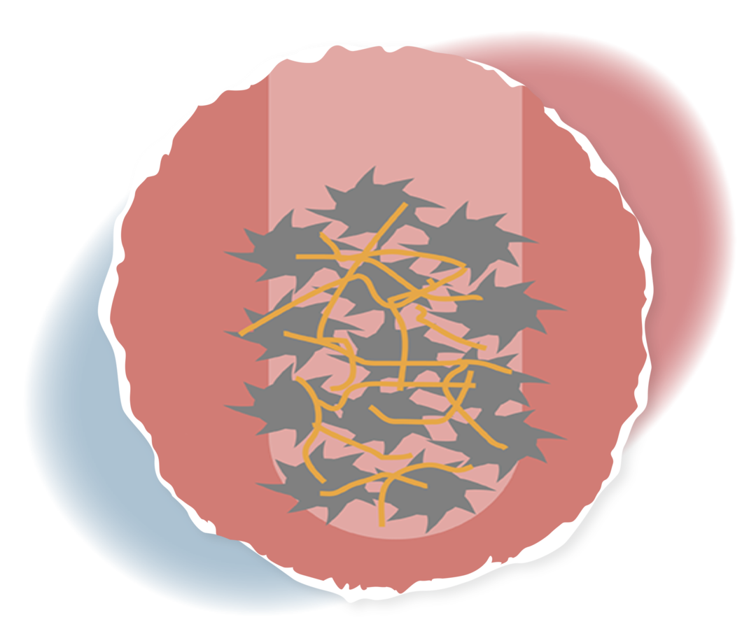 Leben mit ITP: Darstellung eines Gerinnungstests 