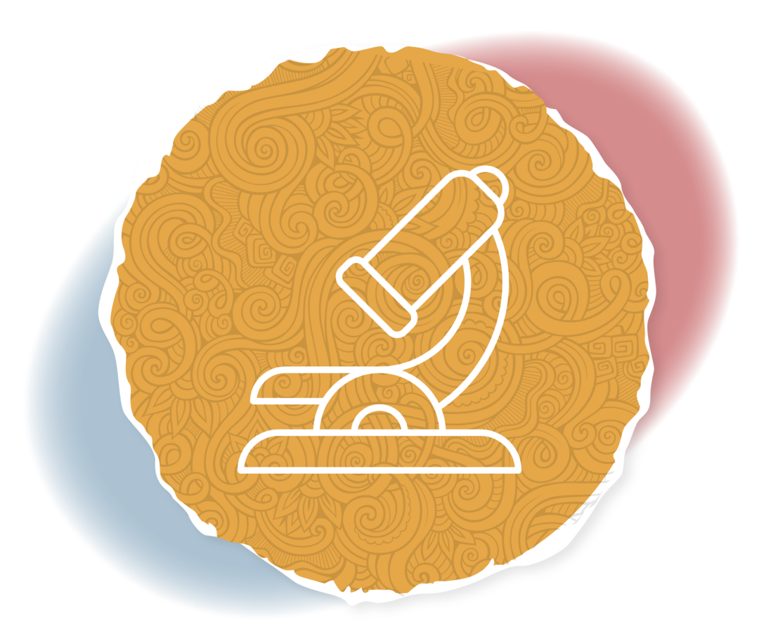Schematische Darstellung eines Mikroskops. 