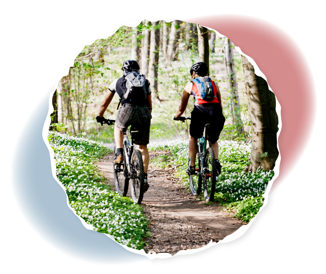 Leben mit ITP: Sport bei ITP Zwei Personen auf Fahrrädern in einem Wald.