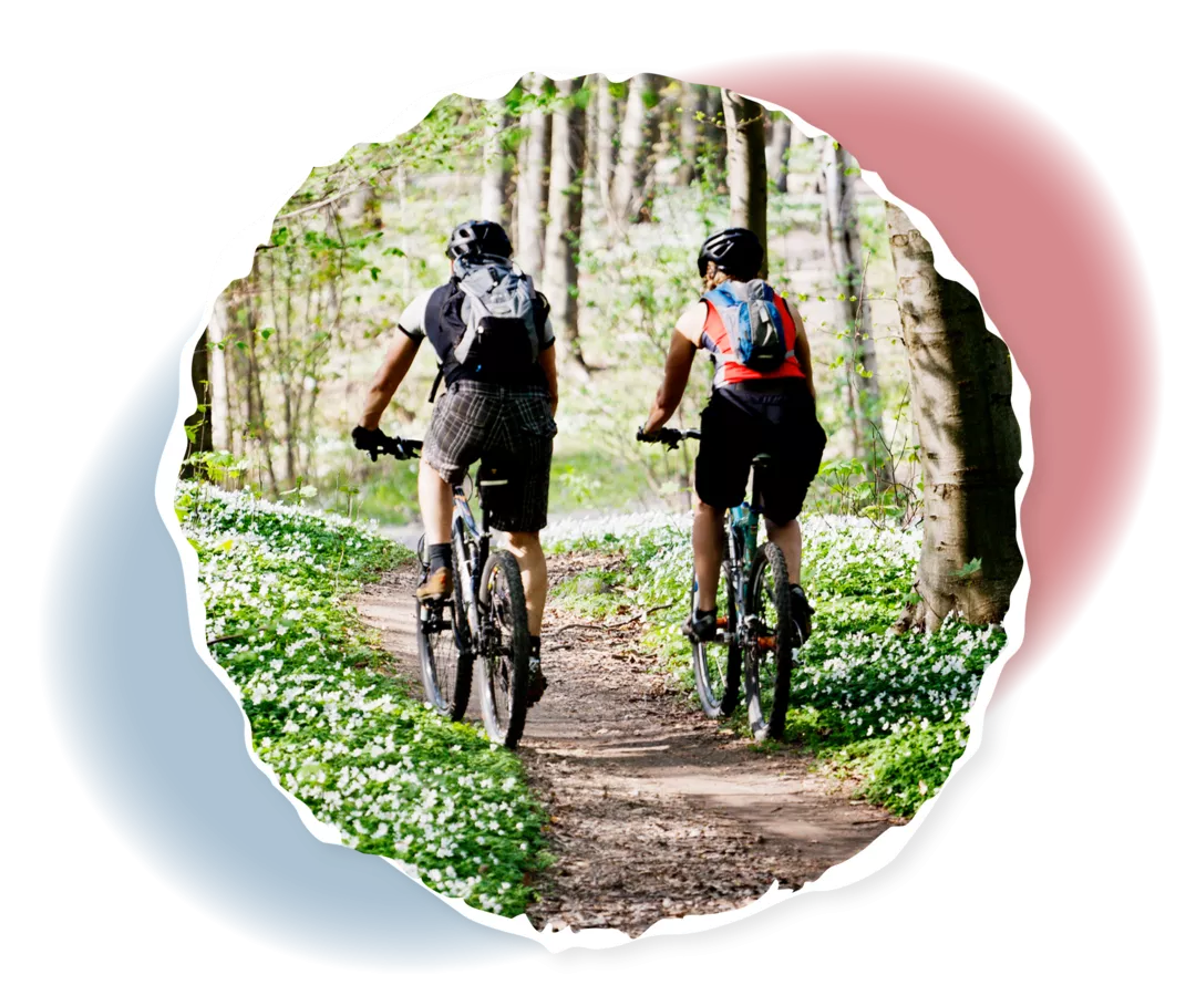 Zwei Personen auf Fahrrädern in einem Wald.