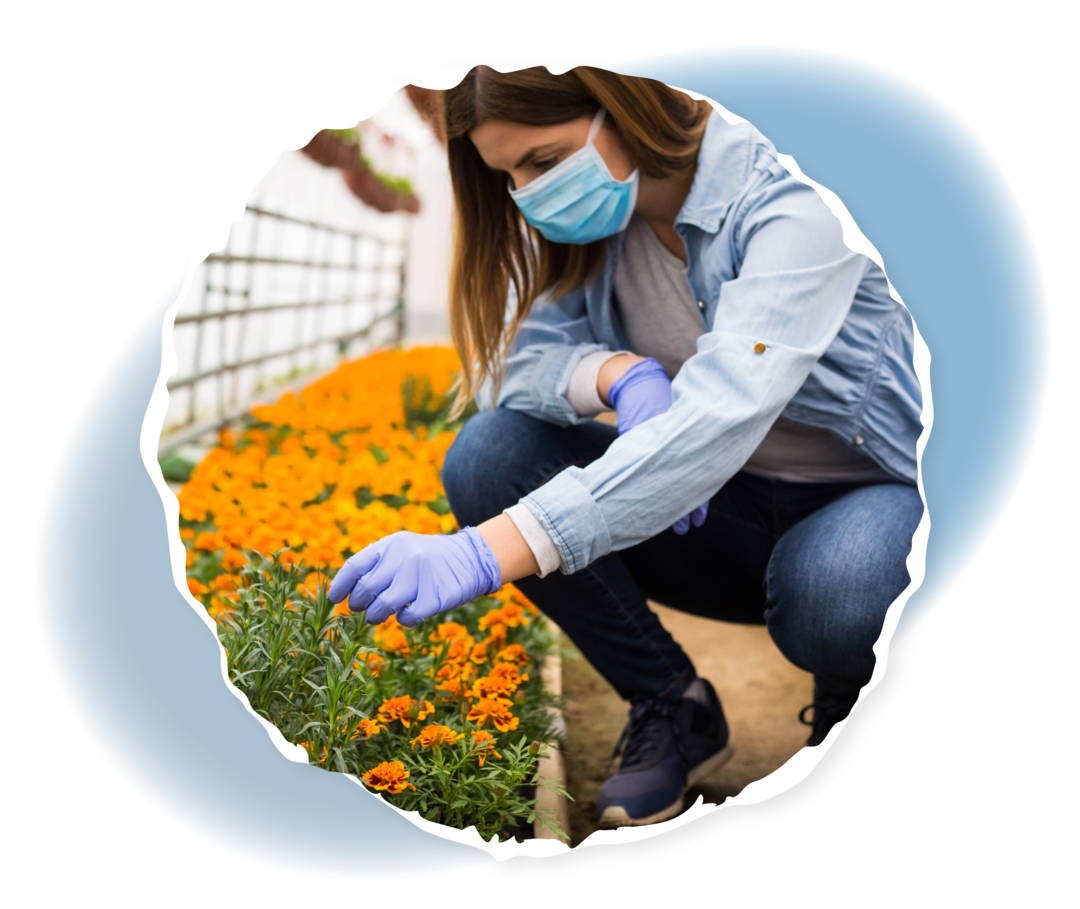 Eine Person hockt mit Maske und Schutzhandschuhen neben einem Blumenbeet.