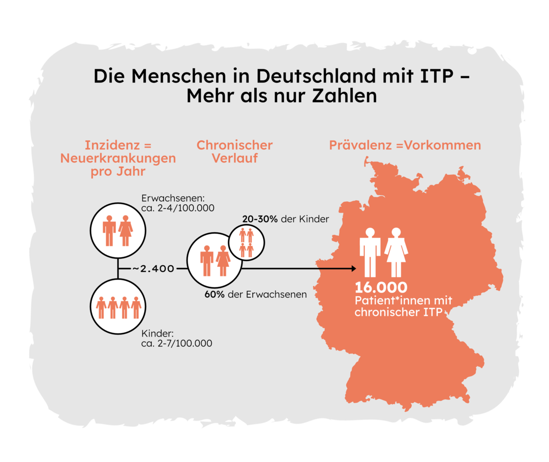Eine Grafik, die die Inzidenz sowie die Prävalenz von ITP-Neuerkrankungen in Deutschland darstellt. Auf 100.000 erwachsene Menschen erkranken in Deutschland in etwa zwei bis vier Menschen jährlich neu, bei Kindern sind es zwei bis sieben auf 100.000. Insgesamt erkranken jährlich rund 2.400 Menschen in Deutschland an einer ITP. Bei 20 bis 30 Prozent der Kinder und 60 Prozent der Erwachsenen nimmt die Erkrankung einen chronischen Verlauf. In Deutschland leben in Summe circa 16.000 Menschen mit chronischer ITP