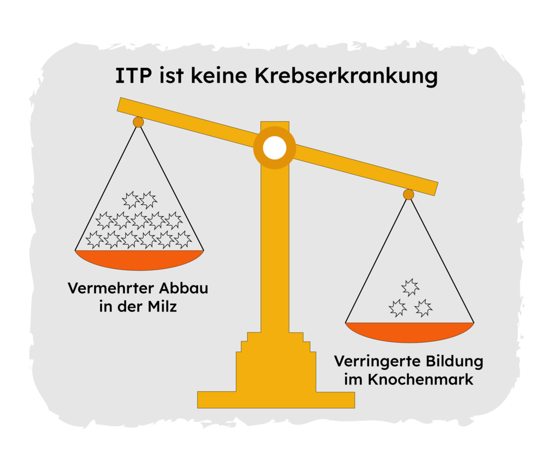 ITP: Thrombozyten aus dem Gleichgewicht Die Grafik zeigt eine Waage, die zugunsten der rechten Waagschale gekippt ist. Auf der linken Waagschale sind viele Thrombozyten zu sehen mit der Unterschrift: Vermehrter Abbau in der Milz. Auf der rechten Waagschale sind wenige Thrombozyten zu sehen mit der Unterschrift: Verringerte Bildung im Knochenmark.
