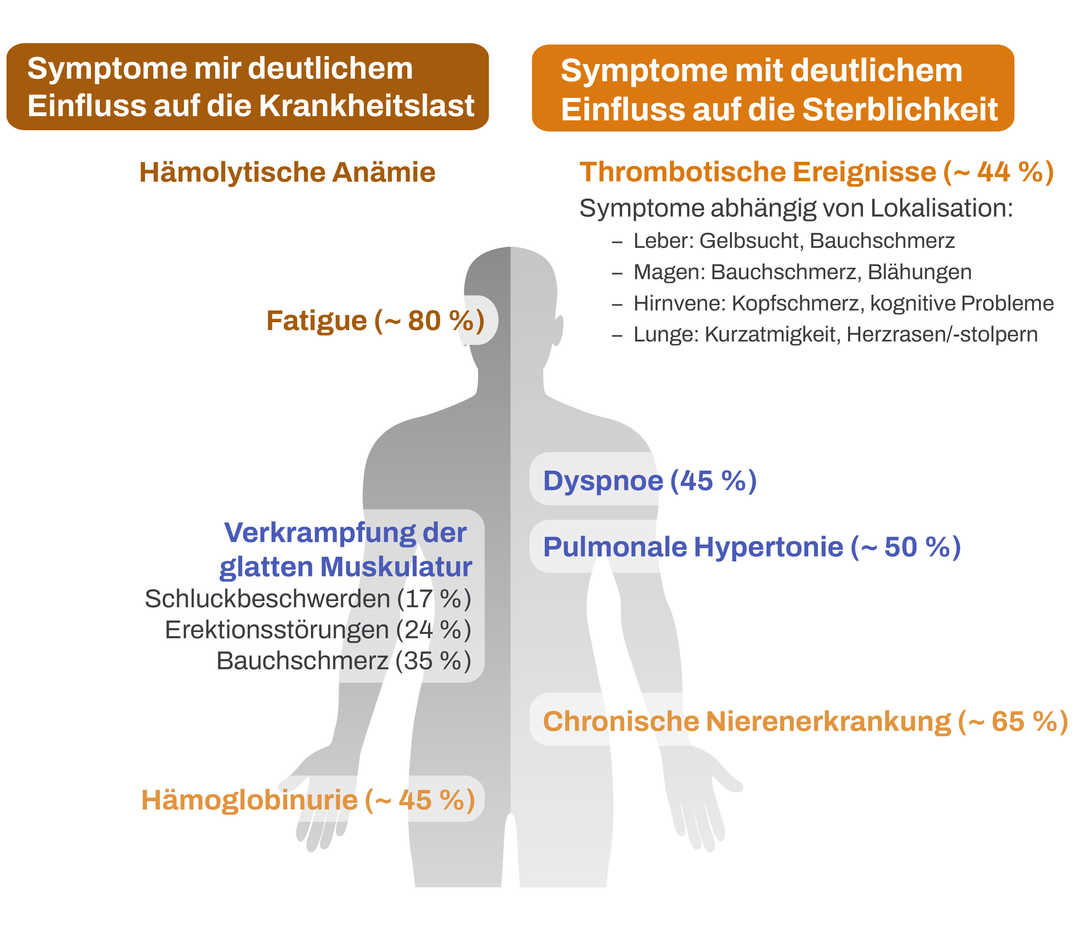 PNH: Symptome Grafik mit Darstellung der möglichen Symptome einer PNH. Schematische Darstellung eines menschlichen Körpers mit Symptomen, die deutlichen Einfluss auf die Krankheitslast und die Sterblichkeit haben.
