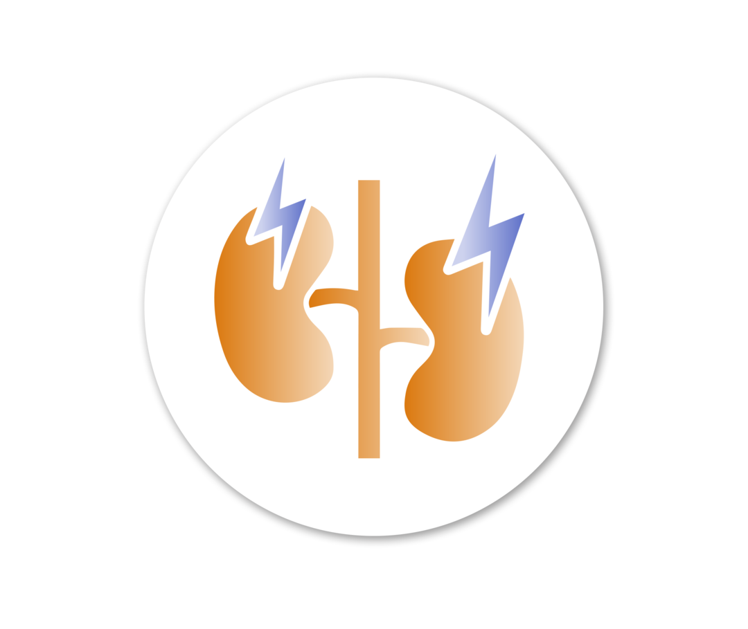 PNH: Nierenfunktion Grafik zweier orangefarbener Nieren, über ihnen jeweils ein blauer Blitz.