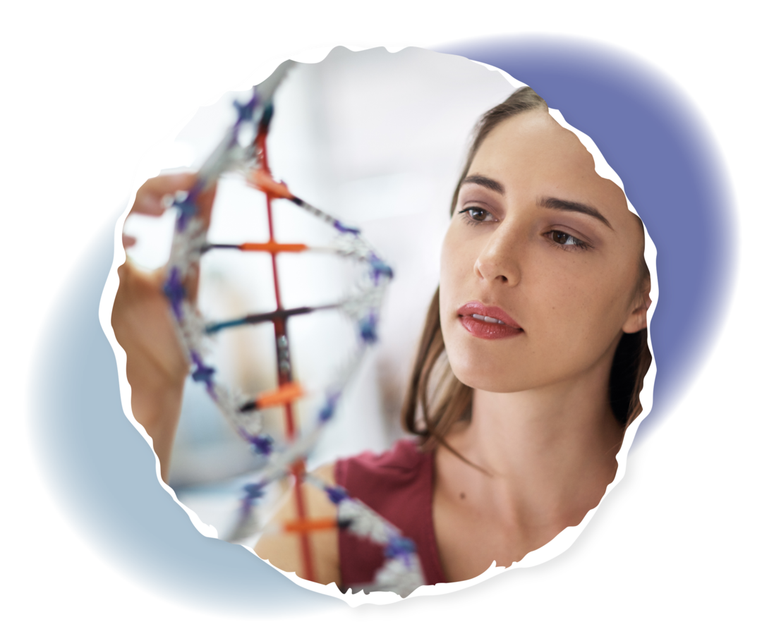 Eine Frau schaut sich das Modell eines DNA-Strangs an.