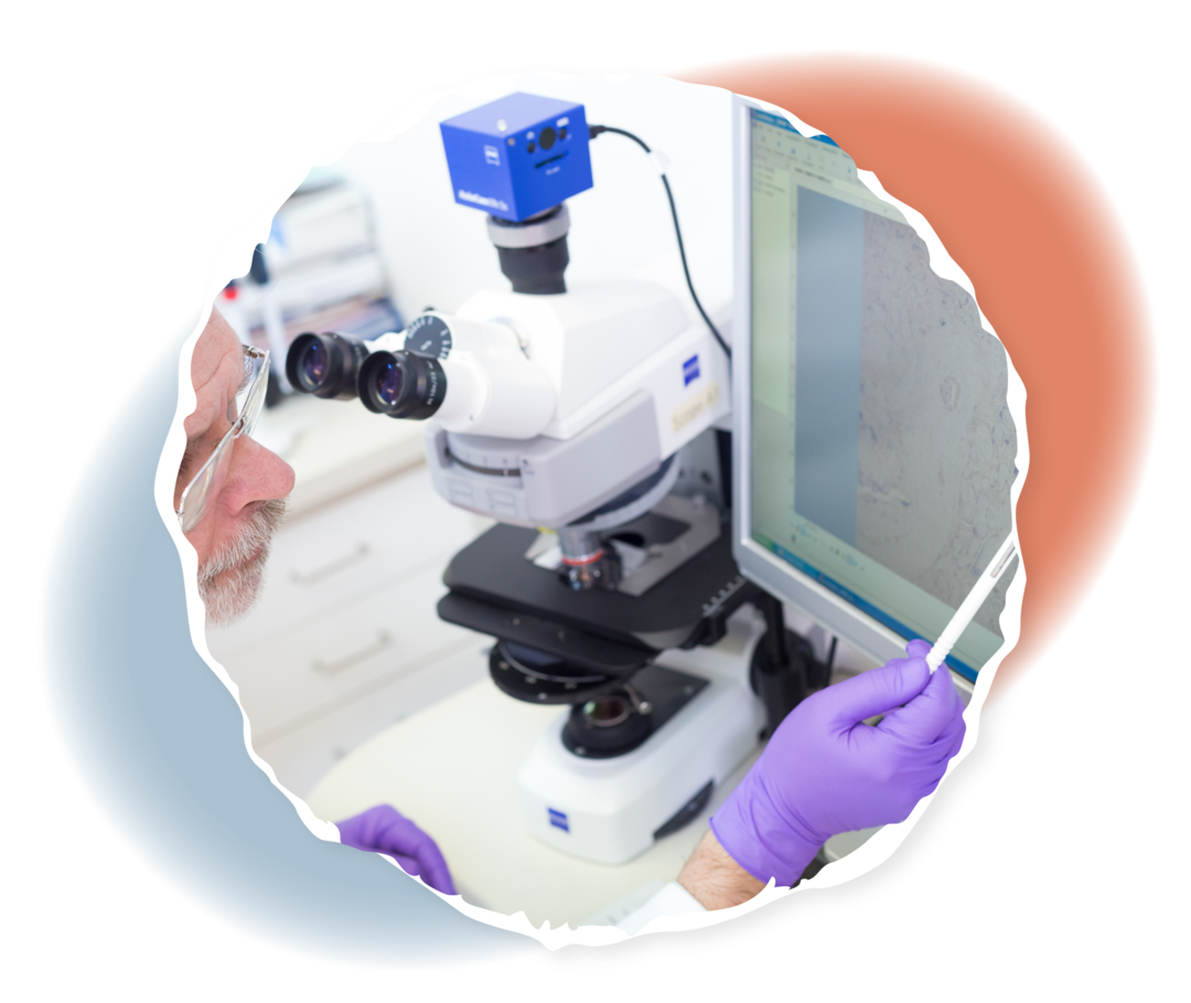 Eine Person in weißem Kittel und Handschuhen sitzt vor einem Mikroskop und einem Bildschirm und zeigt auf eine auf dem Bildschirm sichtbare Struktur.  