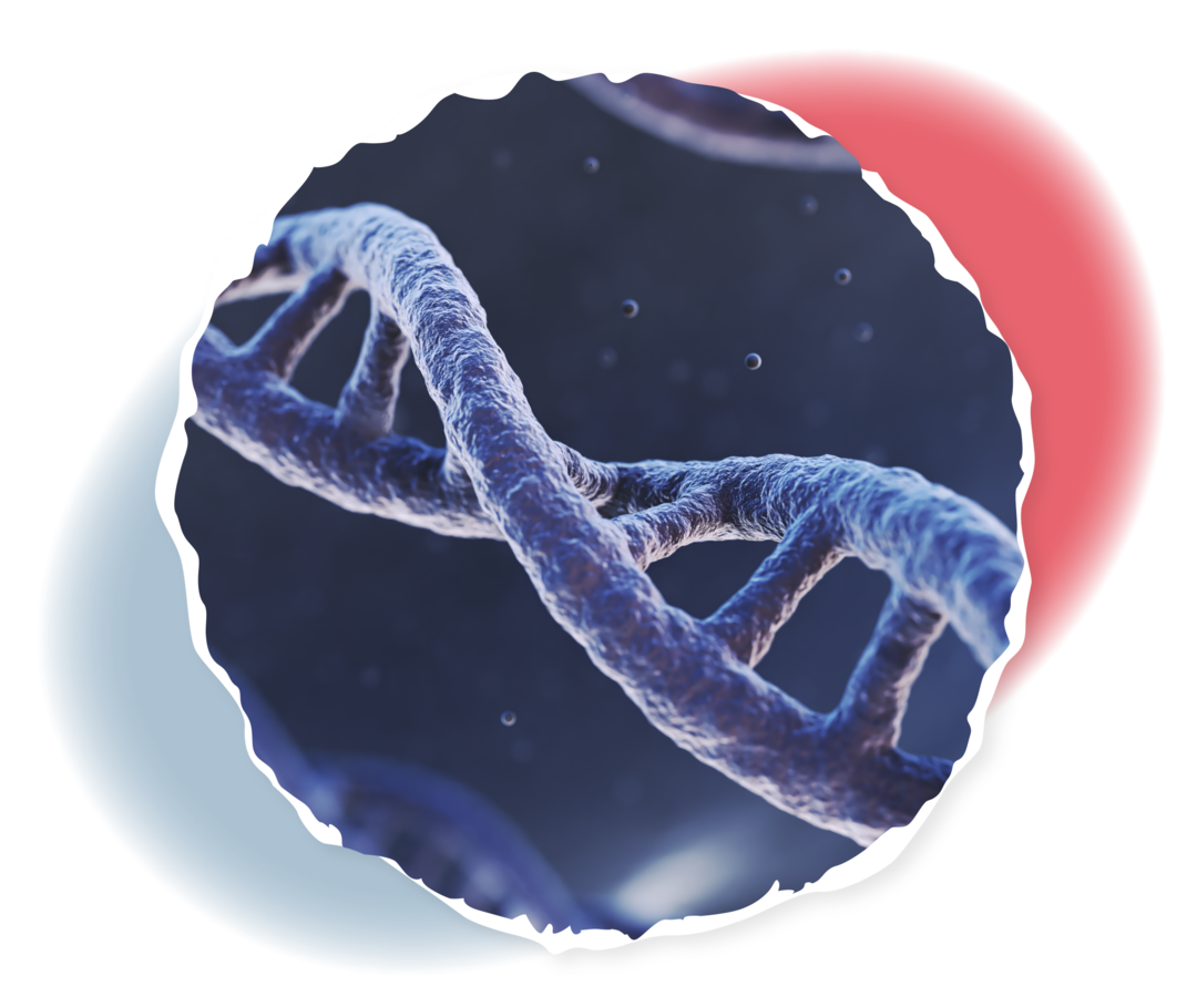 Polycythaemia vera: JAK2-Mutation als Ursache Schematische Darstellung eines DNA-Strangs.
