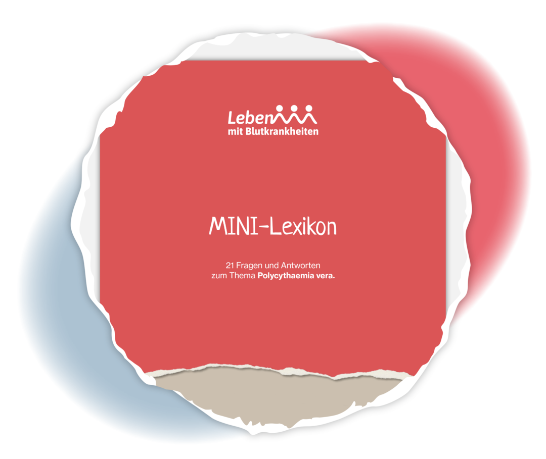 Titelblatt des Mini-Lexikons PV.